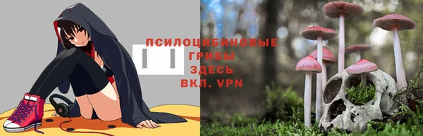 дурь Верхнеуральск