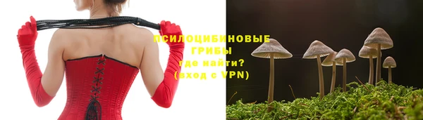 прущий лед Верея