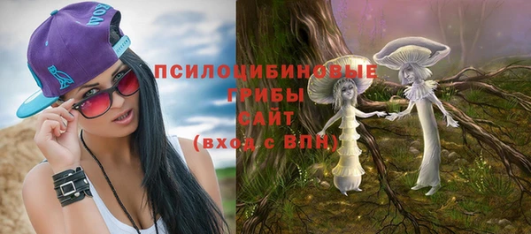 прущий лед Верея