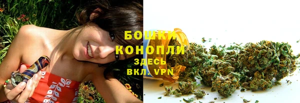 прущий лед Верея