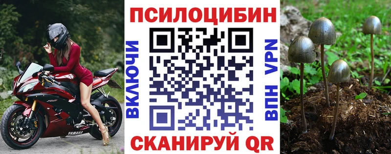 мега как войти  где найти   Гай  Галлюциногенные грибы MAGIC MUSHROOMS 