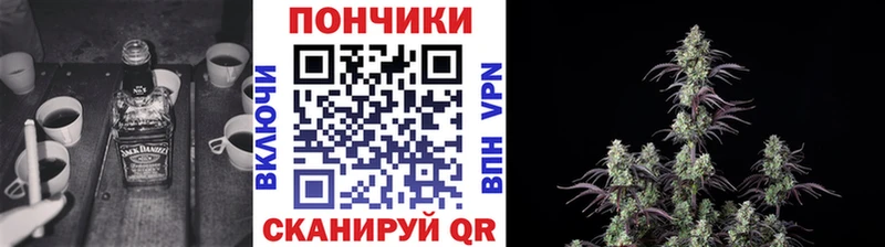 Конопля OG Kush  продажа наркотиков  Гай 